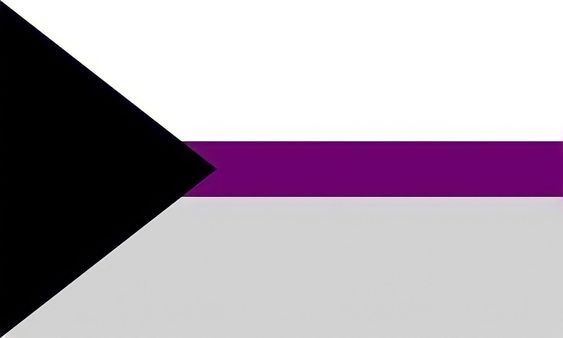 An 88x31 button of the asexual flag